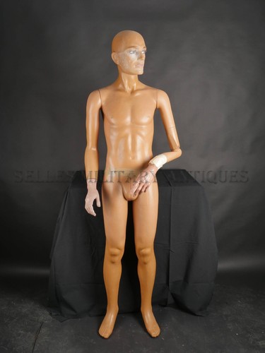 Mannequin présentation - mannequin,